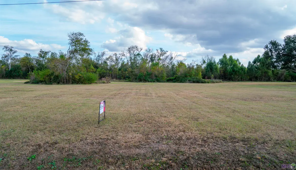 415 Central Lafourche Drive, Raceland, LA 70394 - #1