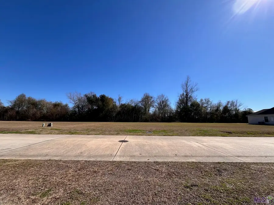 165 Le Belle Maison Drive, Raceland, LA 70394 - #2