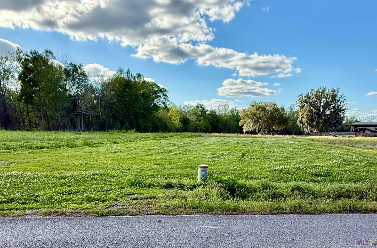 610 Bayou Dr, Pierre Part, LA 70339 - #1