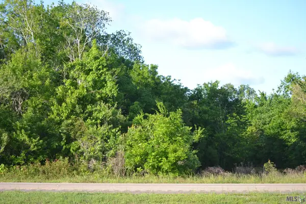 TBD Hwy 3235 East Side, Larose, LA 70373
