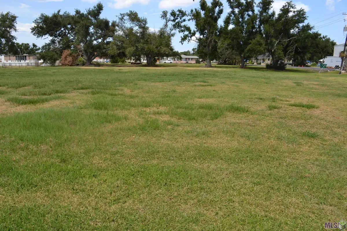 LOT 2 Oakridge Dr, Golden Meadow, LA 70357 - #1