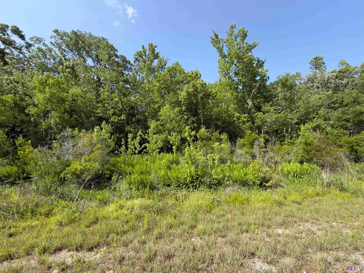 TBD Bayou Black Dr, Gibson, LA 70356 - #1