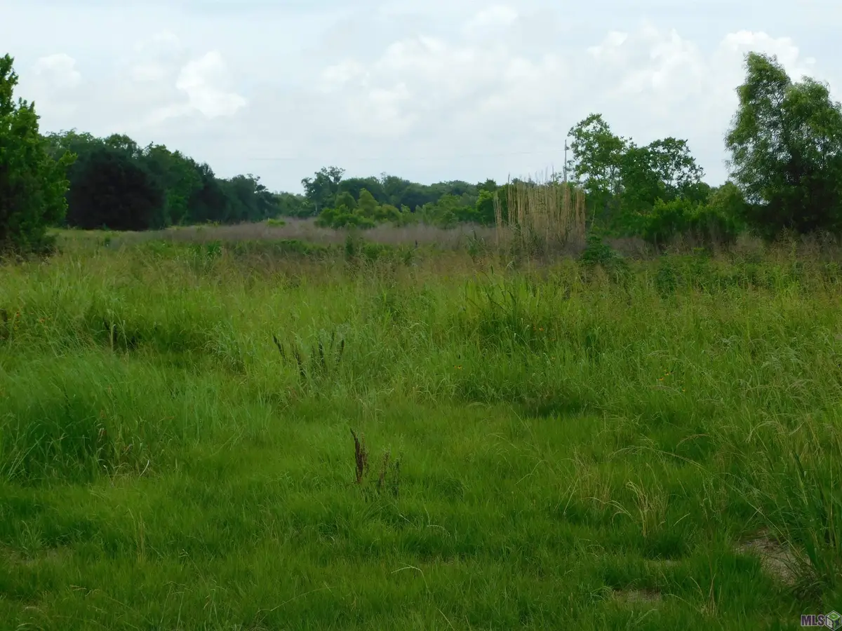 TBD Highway 308, Larose, LA 70373 - #1