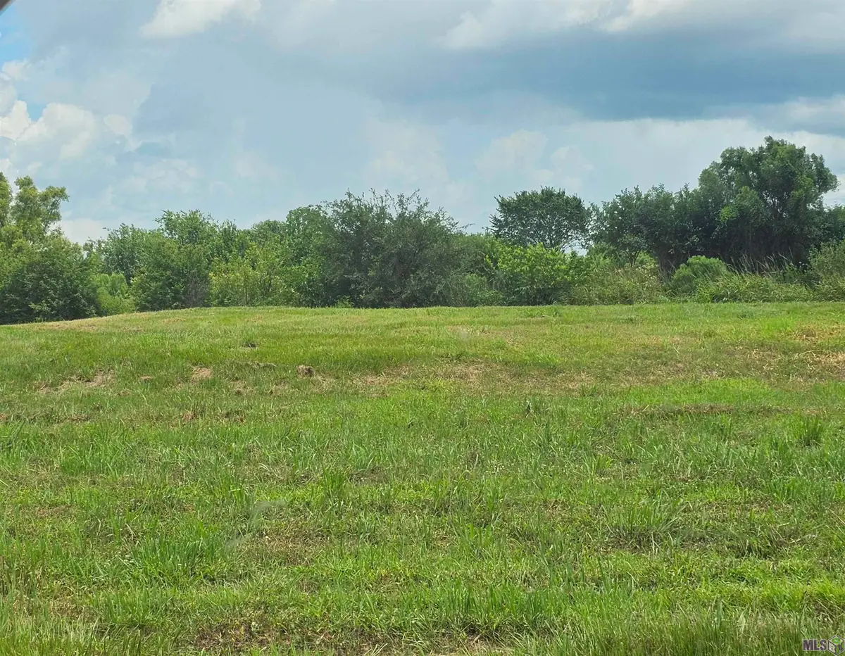 143 Colvan Street, Raceland, LA 70394 - #1