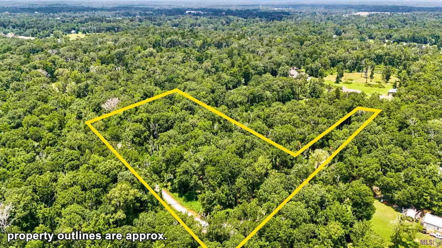 Lot 1 Wildwood Dr, Denham Springs, LA 70726 - #2