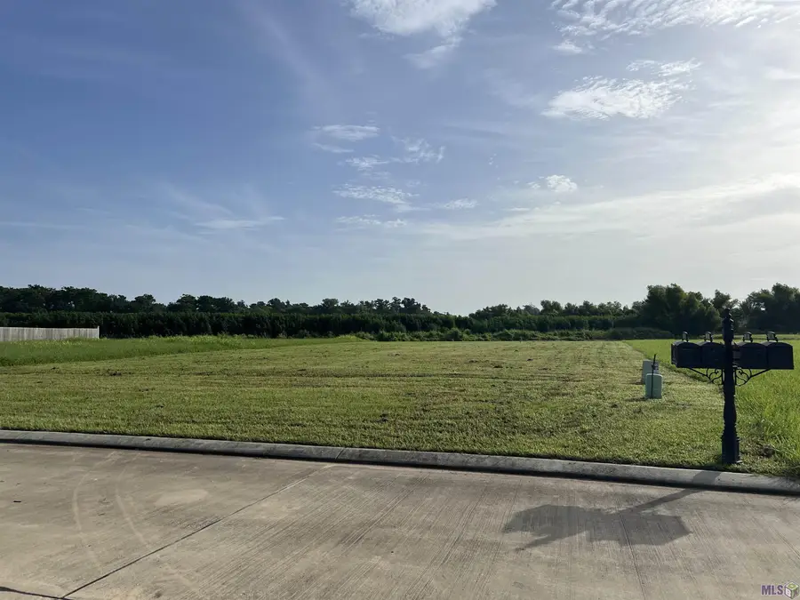 393 Independence Drive, Houma, LA 70360 - #3