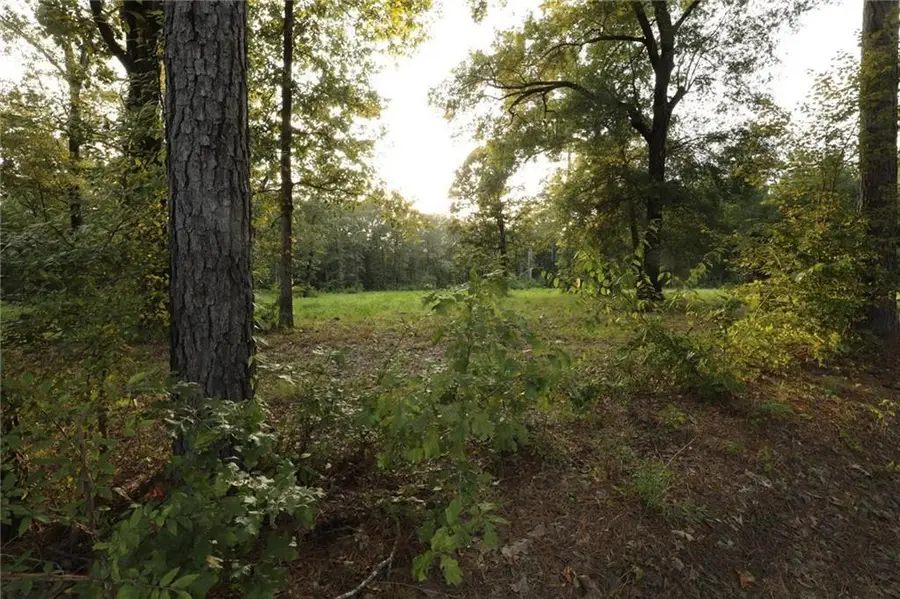 0 Hickory Grove Loop Lot 2 Road, Deville, LA 71328 - #3