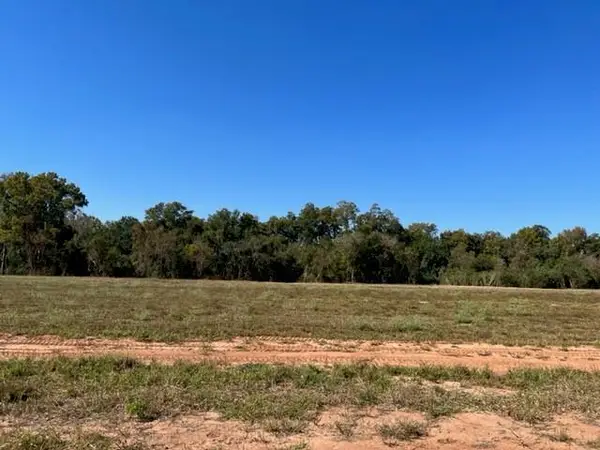 3017 Bayou Fields Drive, Alexandria, LA 71303