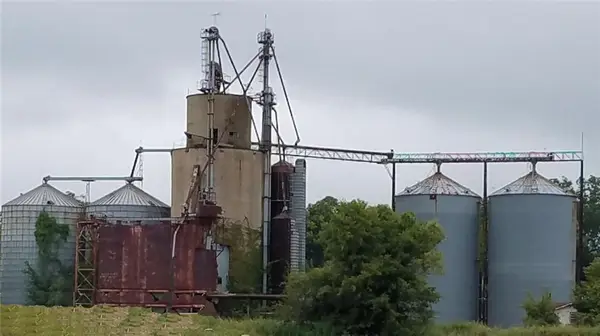 0 Highway 71, Cheneyville, LA 71325