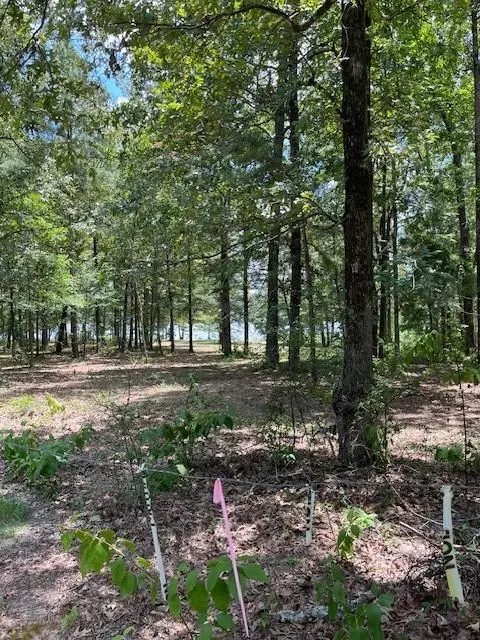 Address Withheld By Seller, Natchitoches, LA 71457 - #3