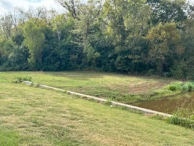 0 TBA Versailles Boulevard, Alexandria, LA 71303 - #2