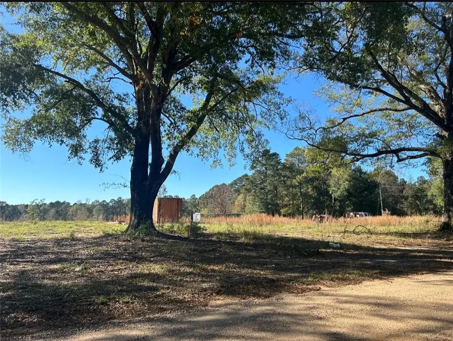 00000 N Goodwill Road, Goldonna, LA 71031 - #2