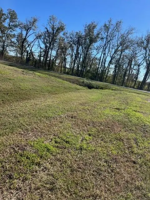 00 N Bayou Rapides Road, Alexandria, LA 71303 - #3