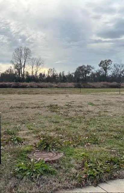 1321 Bonaire Trace, Alexandria, LA 71303