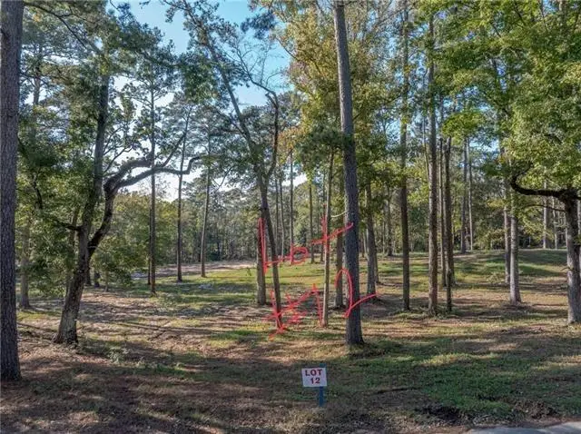 Amelia Lot 11 Lane, Boyce, LA 71409 - #3