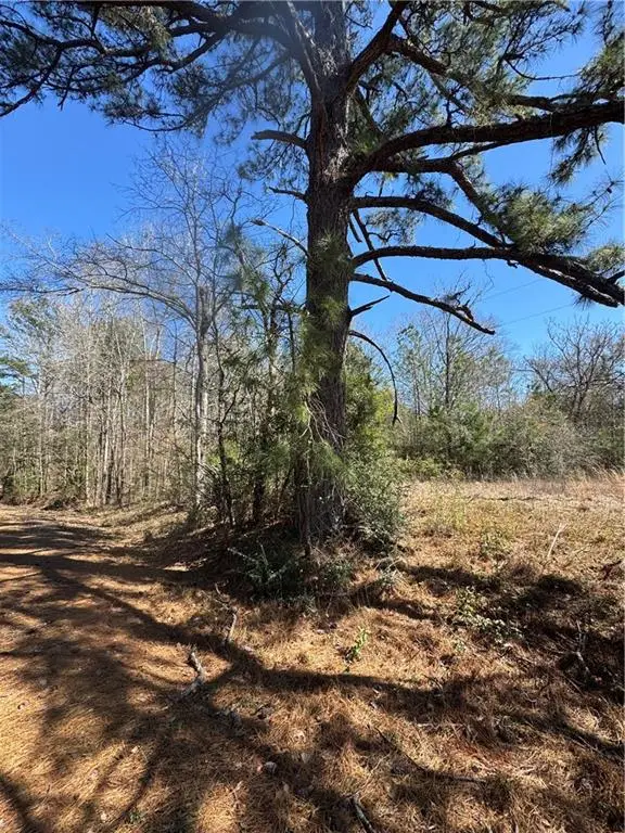 425 Cutts Road, Otis, LA 71466 - #3