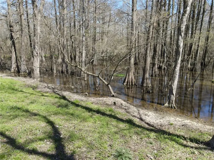 0 Jj Lane, Marksville, LA 71351 - #2