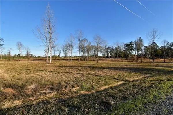 0 Sophie Lane, Dry Prong, LA 71423