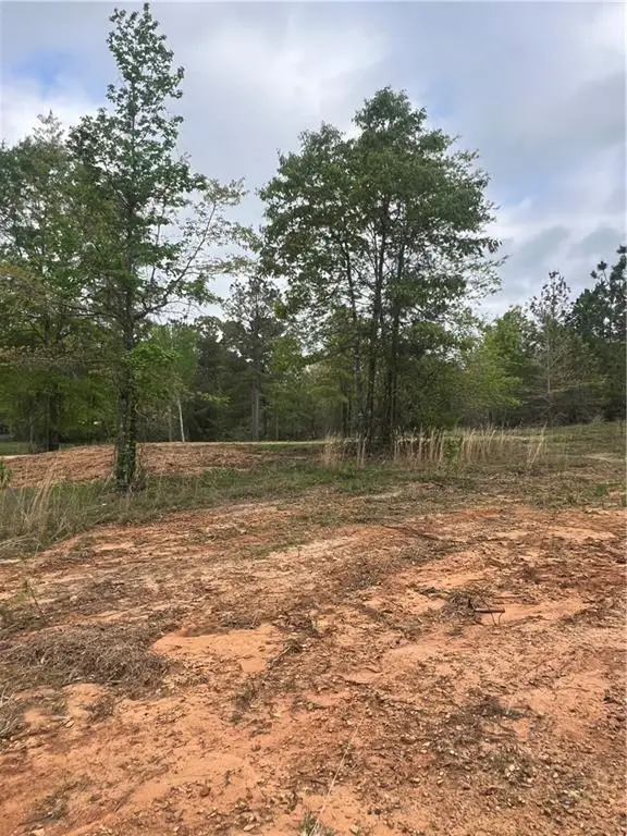 230 Hughart Road, Pollock, LA 71467 - #2