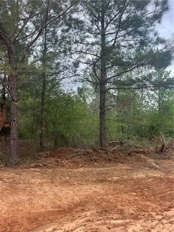 Tract 3 Scotts Path, Pollock, LA 71467 - #1