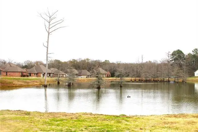 Lady Carolyn Circle, Woodworth, LA 71485 - #2