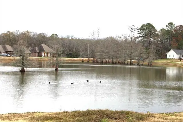 Lady Carolyn Circle, Woodworth, LA 71485 - #3