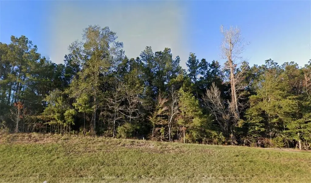 TBD - LOT 6 28 West Highway, Boyce, LA 71409 - #1