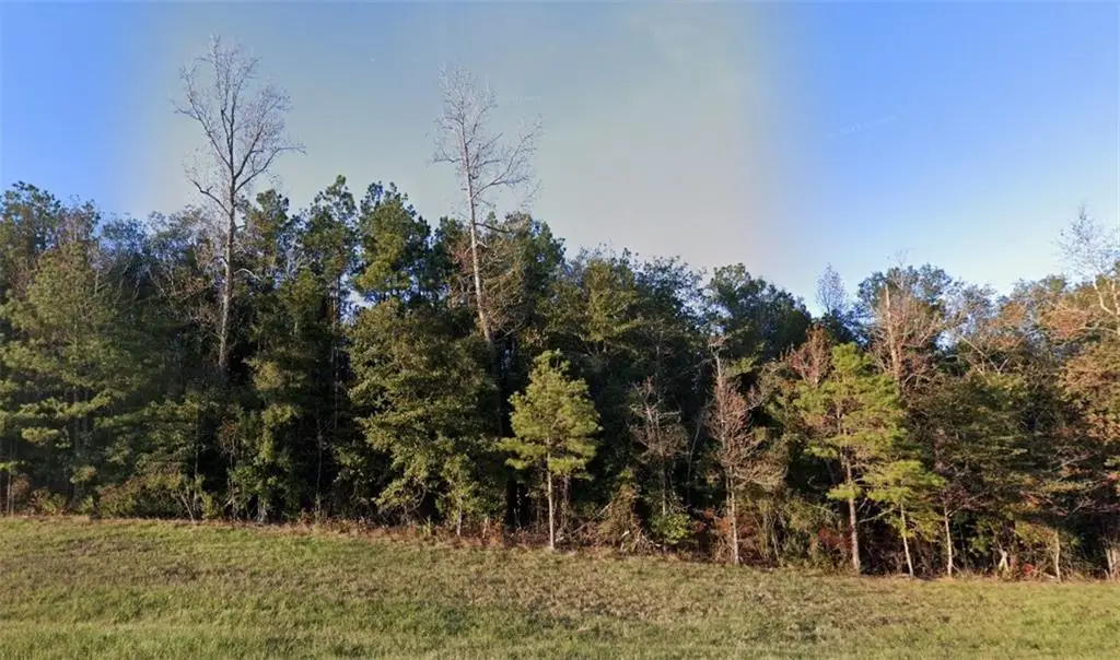 LOT 8 - TBD 28 West Highway, Boyce, LA 71409 - #1