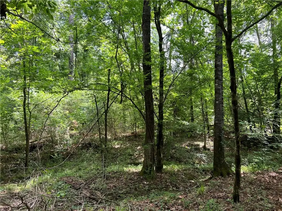 0 Shelton Drive, Ball, LA 71405 - #2