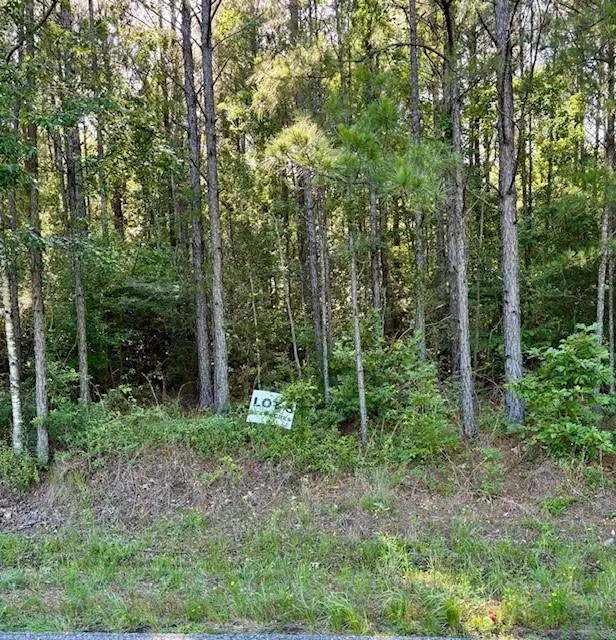 229 Wainwright Road, Pineville, LA 71360 - #2