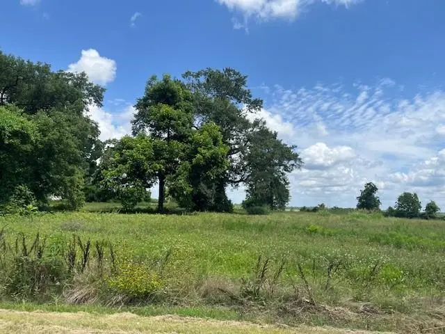 320 N Bayou Rapides Road, Alexandria, LA 71303 - #1