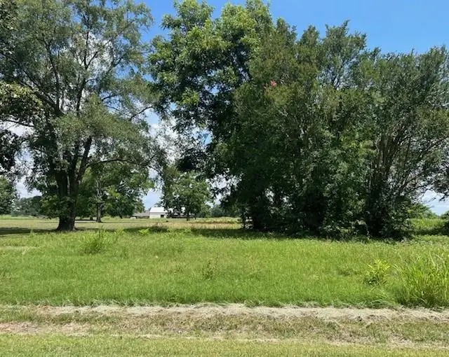 328 N Bayou Rapides Road, Alexandria, LA 71303 - #1