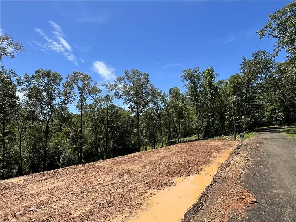 320 White Perch Lane, Zwolle, LA 71486 - #1