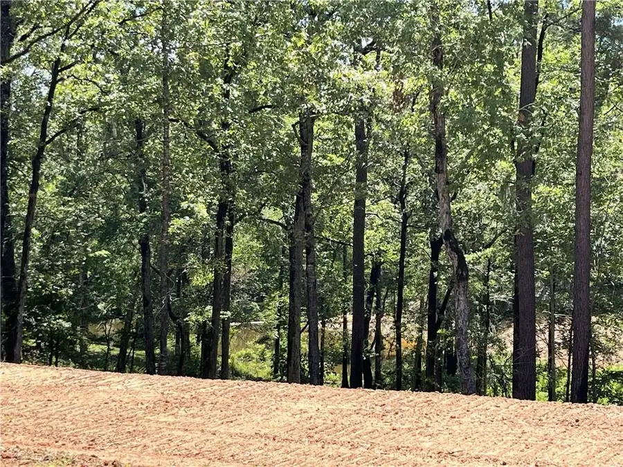 320 White Perch Lane, Zwolle, LA 71486 - #2