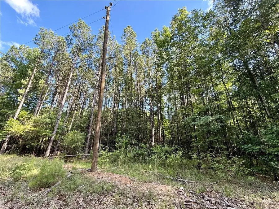 0 Hwy 771 Highway, Olla, LA 71465 - #3