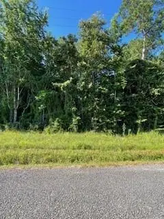 0 Sunset Road, Glenmora, LA 71433 - #2