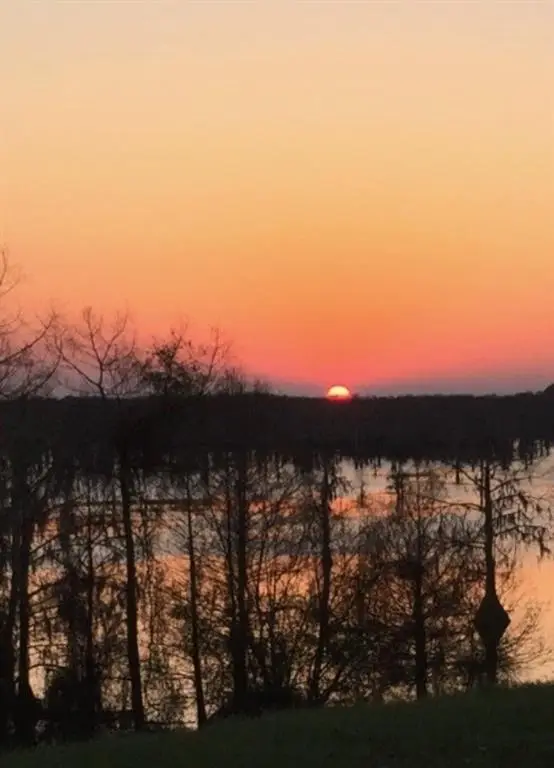 0 Benjamin Pt Road, Goldonna, LA 71031 - #1