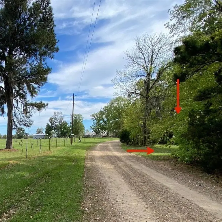 0 Benjamin Pt Road, Goldonna, LA 71031 - #2