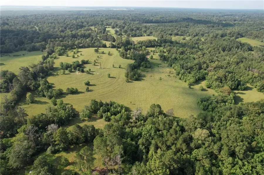 96 Bell Road, Deville, LA 71328 - #2