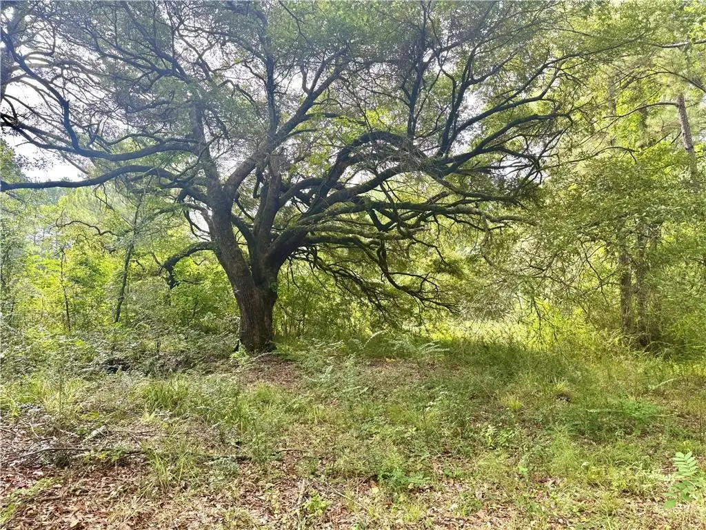 TBD Hwy 6 Highway, Natchitoches, LA 71457 - #1