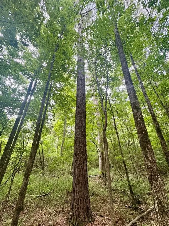 TBD Hwy 6 Highway, Natchitoches, LA 71457 - #2