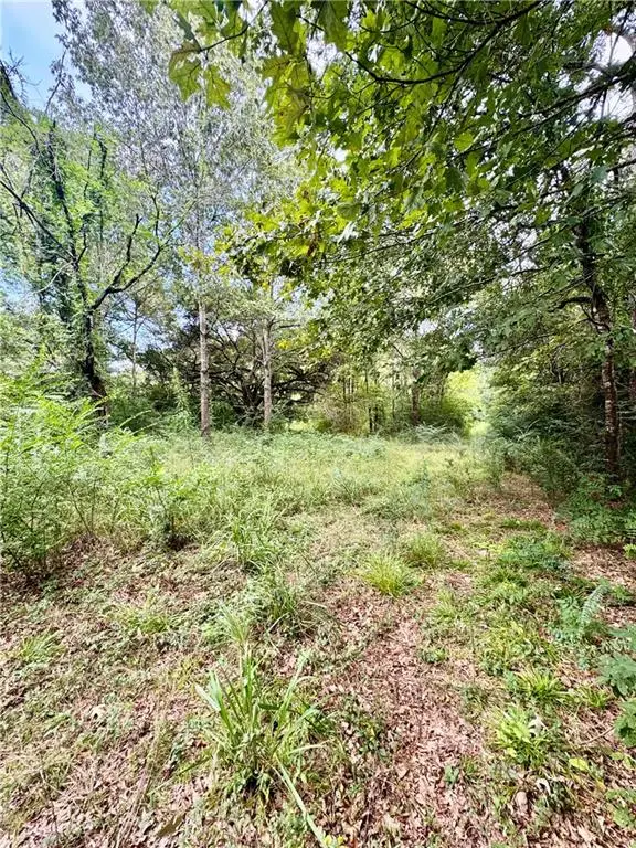 TBD Hwy 6 Highway, Natchitoches, LA 71457 - #3