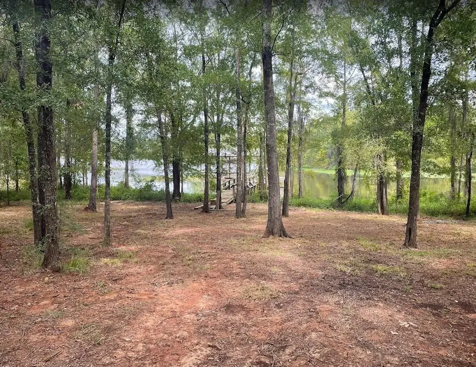 162 Katherines Kove Road, Montgomery, LA 71454 - #1