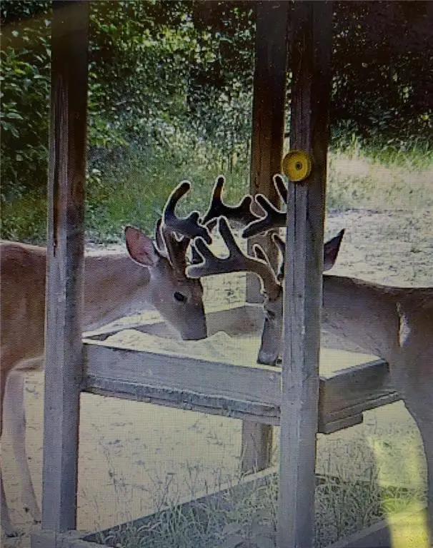 0 Hwy 1199, Elmer, LA 71424 - #3