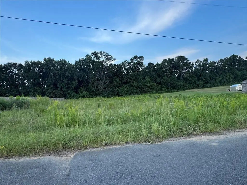 119 Meadow Lane, Pollock, LA 71467 - #1