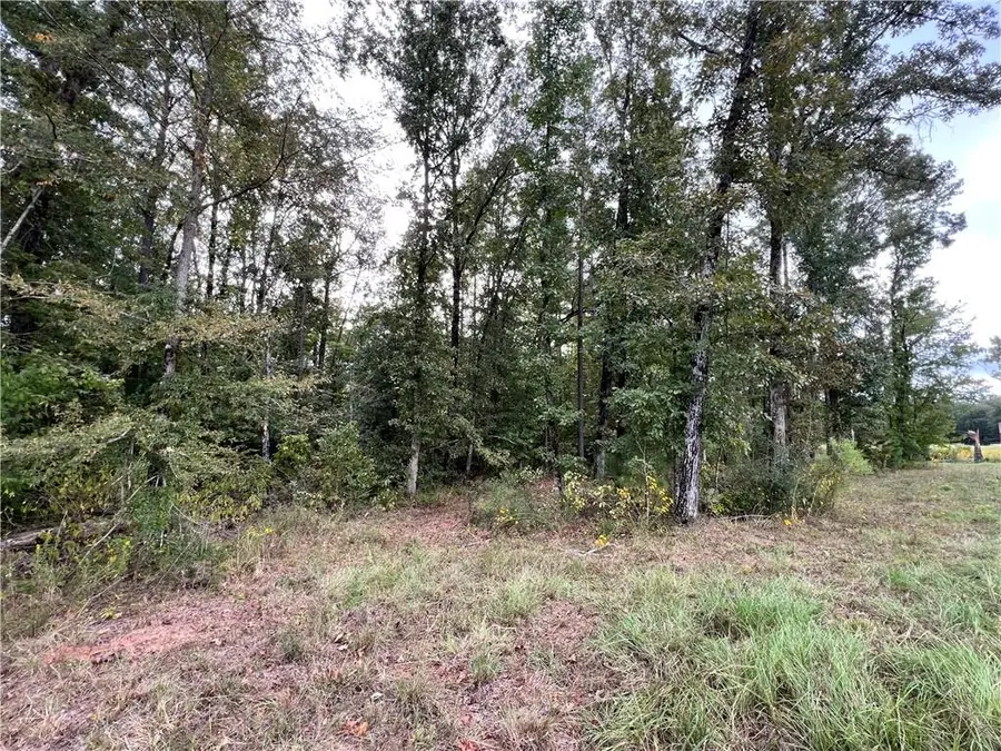 11132 28 West Highway, Boyce, LA 71409 - #3