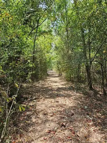 0 Donnie Price Road, Deville, LA 71328 - #2