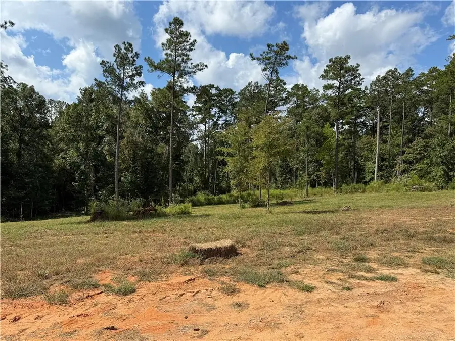 21 Teekell Road, Boyce, LA 71409 - #2