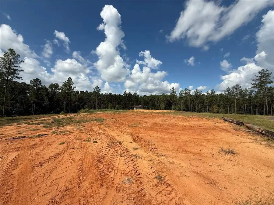 21 Teekell Road, Boyce, LA 71409 - #3