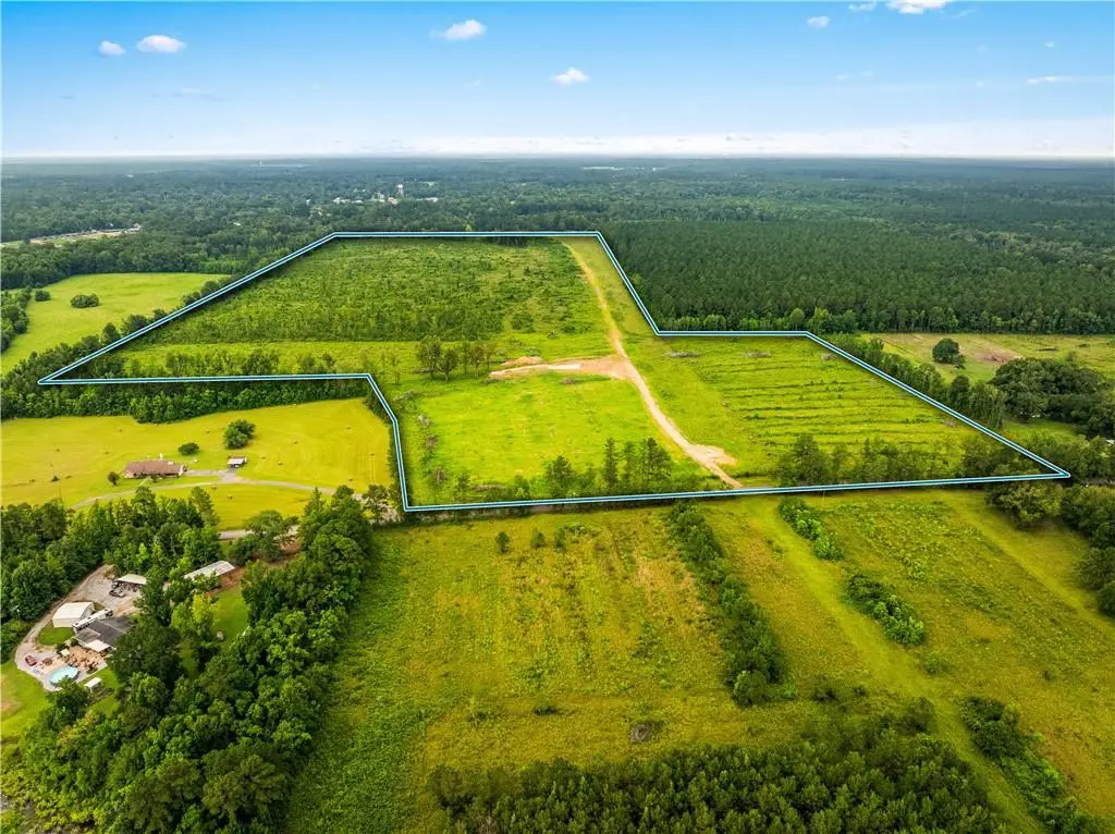 Mcnary Cutoff Lot 1 Road, Glenmora, LA 71433 - #1